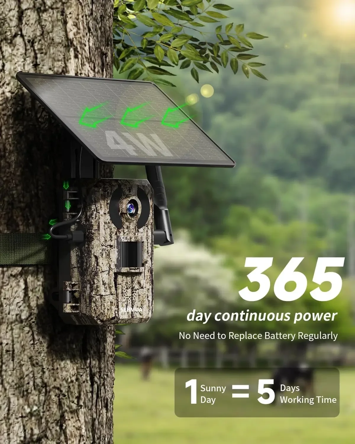 3. Generation 4G LTE Wildkamer – Trail Camera Infrared Bewertung und Preis